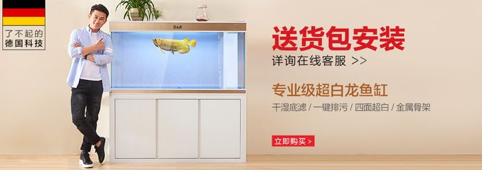 大白片可以直接放魚缸里嗎：大白片使用方法和注意事項(xiàng) 魚缸百科 第4張