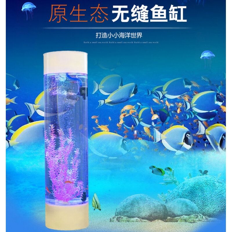 大型圓柱亞克力魚缸過濾系統(tǒng)圖：大型圓柱亞克力魚缸的保養(yǎng)