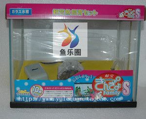 家庭魚缸必備魚藥：家庭魚缸必備魚藥及使用方法 魚缸風(fēng)水 第1張