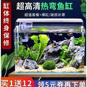 大鱷龜魚(yú)缸造景：大鱷龜魚(yú)缸造景需要注意的幾個(gè)問(wèn)題