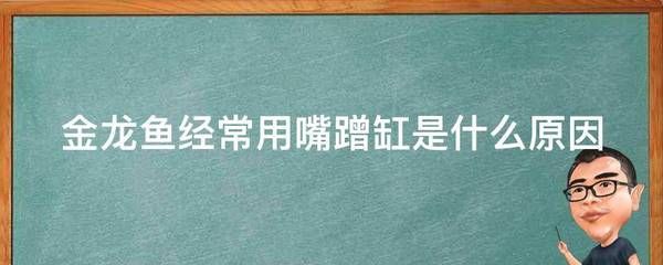 金龍魚(yú)蹭缸是什么原因：金龍魚(yú)蹭缸是什么原因引起金龍魚(yú)蹭缸的行為可能由多種原因引起 龍魚(yú)百科 第2張