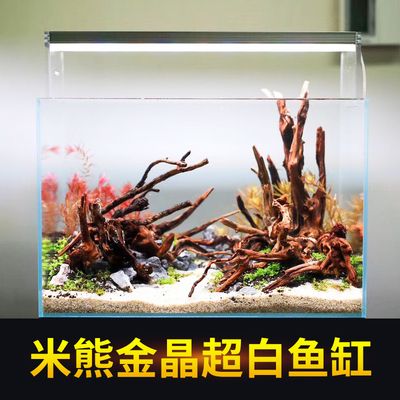 玻璃魚缸造景方法視頻：玻璃魚缸造景的基本步驟和技巧 魚缸百科 第3張