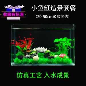 除了魚缸還有什么裝飾品：如何選擇魚缸裝飾 魚缸百科 第3張