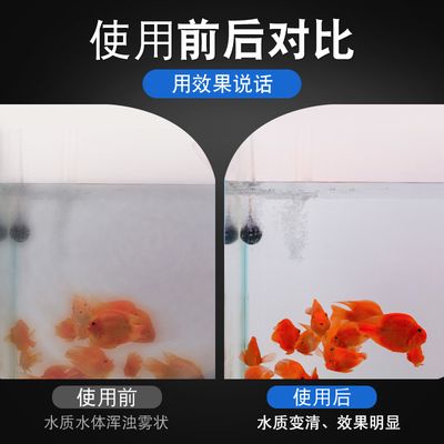 家庭用水族魚缸怎么選擇水質(zhì)：如何選擇適合自家的家庭用水族魚缸