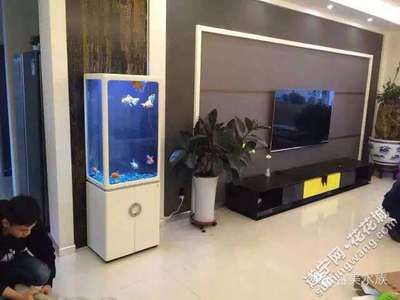 家庭魚缸品牌十大排名：家庭水族品牌十大排名 魚缸風水 第1張