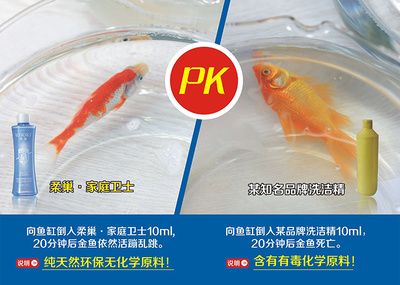 家庭魚缸品牌十大排名：家庭水族品牌十大排名 魚缸風水 第3張