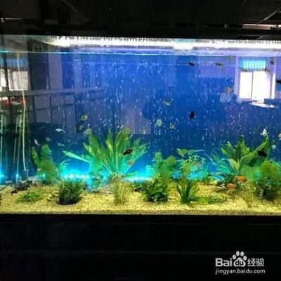 大魚缸漏水怎么辦妙招：diy自制魚缸防水密封教程diy自制魚缸防水密封教程 魚缸百科 第4張