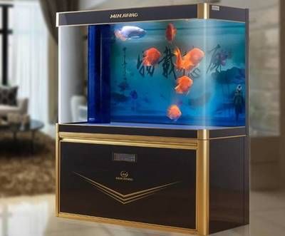 家庭用水族魚缸哪個品牌最好：家庭用水族魚缸品牌推薦 魚缸風水 第3張