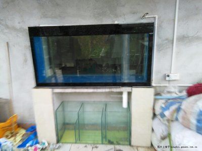 家庭用水族魚缸怎么選擇：家庭養(yǎng)殖觀賞魚成功與否的關(guān)鍵 魚缸風(fēng)水 第2張