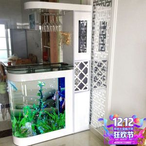 家庭用水族魚缸怎么選擇：家庭養(yǎng)殖觀賞魚成功與否的關(guān)鍵 魚缸風(fēng)水 第1張