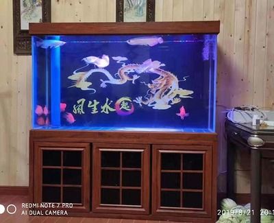 家庭魚缸的高度多少適合？水族器材：家庭魚缸的高度應(yīng)該如何選擇？ 魚缸風水 第2張