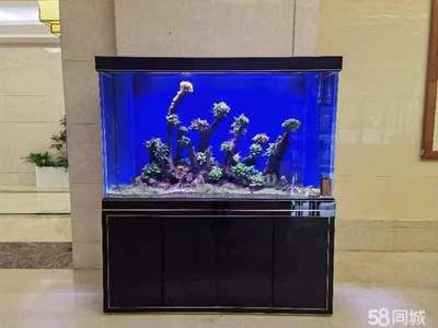 寵物用品魚缸水族箱怎么用的啊 魚缸百科 第2張