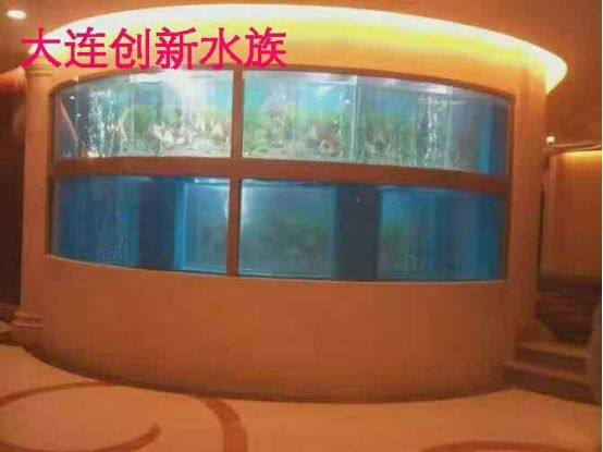 出售二手海鮮魚缸：個人二手魚缸出售注意事項二手魚缸出售注意事項