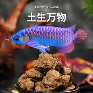 黑水對龍魚發(fā)色到底有用沒：黑水對龍魚發(fā)色到底有用沒有