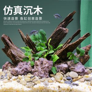 杜鵑藤魚缸造景：杜鵑根的養(yǎng)護(hù)秘籍 魚缸百科 第4張