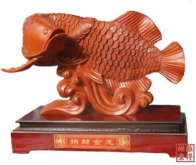 招財龍魚怎么養(yǎng)殖方法：招財龍魚擺件不僅是一種富有象征意義的風(fēng)水物品 龍魚百科 第1張