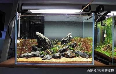 家里魚缸水溫多少度合適放魚：家里魚缸水溫應該根據搜索結果得出的一些關鍵信息 魚缸風水 第2張