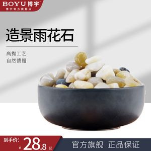 鵝蛋石魚缸造景方法視頻：如何利用鵝卵石打造低成本的魚缸造景 魚缸百科 第3張