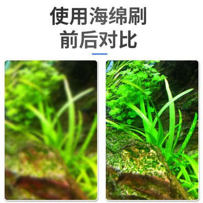 大型魚缸清洗神器怎么用：大型魚缸清洗神器是一種高效的清潔工具可以幫助我們更輕松清理魚缸 魚缸百科 第4張