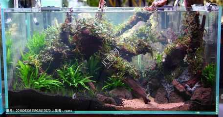 大型魚缸造景效果圖：大型魚缸造景效果圖大型魚缸造景效果圖需要注意以下原則