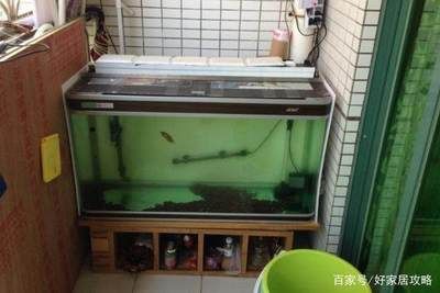 家用大魚缸如何安裝：大魚缸安裝大魚缸安裝常見問題及解決辦法及解決辦法 魚缸風(fēng)水 第2張