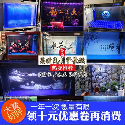 龍魚缸背景畫法：如何設(shè)計(jì)龍魚缸背景 龍魚百科 第1張