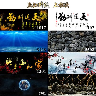 龍魚缸背景畫法：如何設(shè)計(jì)龍魚缸背景 龍魚百科 第2張