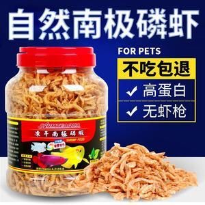 龍魚不吃飼料還喂：當(dāng)龍魚不吃飼料時，飼養(yǎng)者可以嘗試以下幾個方法