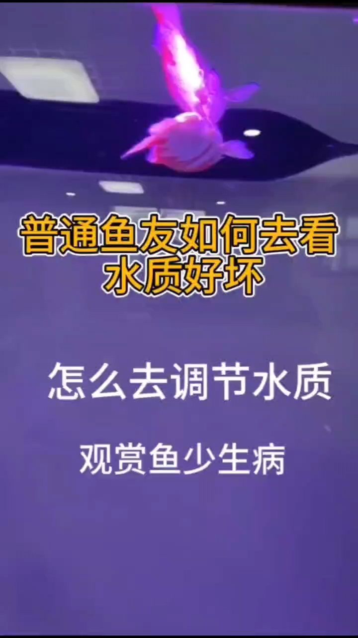 普通魚友如何看水質(zhì)好壞：沒有測試儀普通魚友如何看水質(zhì)好壞 觀賞魚論壇