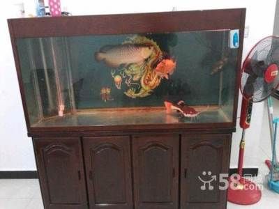 把自家魚缸賣給別人可以嗎：二手魚缸買賣注意事項 魚缸百科 第3張