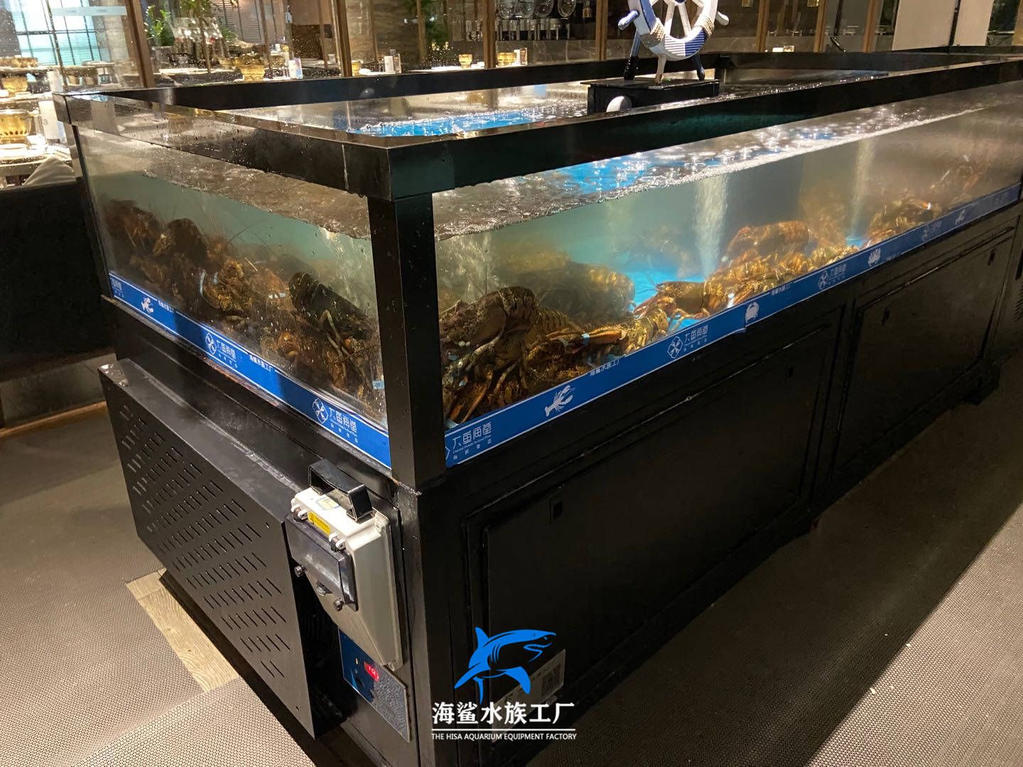 出售二手海鮮魚缸騙局視頻：二手海鮮魚缸騙局 魚缸百科 第2張