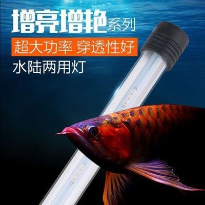 紅色龍魚(yú)形標(biāo)志的魚(yú)缸：紅色龍魚(yú)形標(biāo)志的魚(yú)缸尺寸應(yīng)該是長(zhǎng)至少1.5米，寬至少0.5米 龍魚(yú)百科 第1張