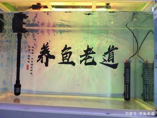 大梅家的魚缸好不好用：關(guān)于大梅家的魚缸使用體驗(yàn)根據(jù)搜索結(jié)果 魚缸百科 第4張