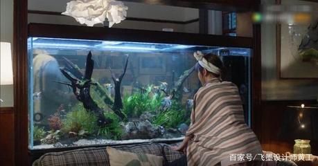 超大魚(yú)缸：制作超大魚(yú)缸需要選擇合適的材料和遵循一定的流程 魚(yú)缸百科 第1張