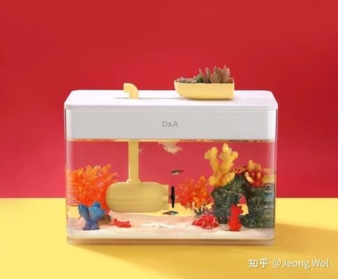 不用清理魚缸的魚有哪些品種：清潔魚的種類和特點 魚缸百科 第3張