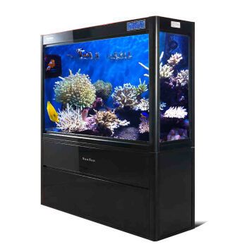 家庭用水族魚缸哪個品牌最好最安全的：家庭用水族魚缸品牌推薦