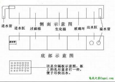 大魚缸過濾器系統(tǒng)：如何選擇大魚缸的過濾器系統(tǒng) 魚缸百科 第3張