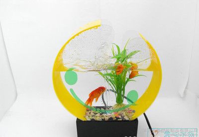 玻璃藝術魚缸制品廠家：廈門佳佳藝魚缸制作廠