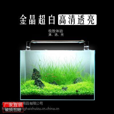 家用觀賞魚(yú)缸哪個(gè)品牌的好些：如何選擇高品質(zhì)的家用觀賞魚(yú)缸 魚(yú)缸風(fēng)水 第2張