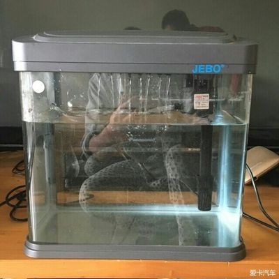 魚缸水泵維修常見故障及處理方法：魚缸水泵在使用過程中可能會遇到各種故障及處理方法 魚缸百科 第2張