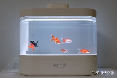 超白小魚缸哪個品牌好用又實惠：超白小魚缸品牌排行榜森森水族箱入選十大超白魚缸產(chǎn)品排行榜