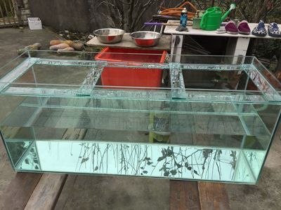 成品魚缸包邊怎么拆下來：成品魚缸包邊拆卸成品魚缸包邊的大致步驟和注意事項(xiàng) 魚缸百科 第1張