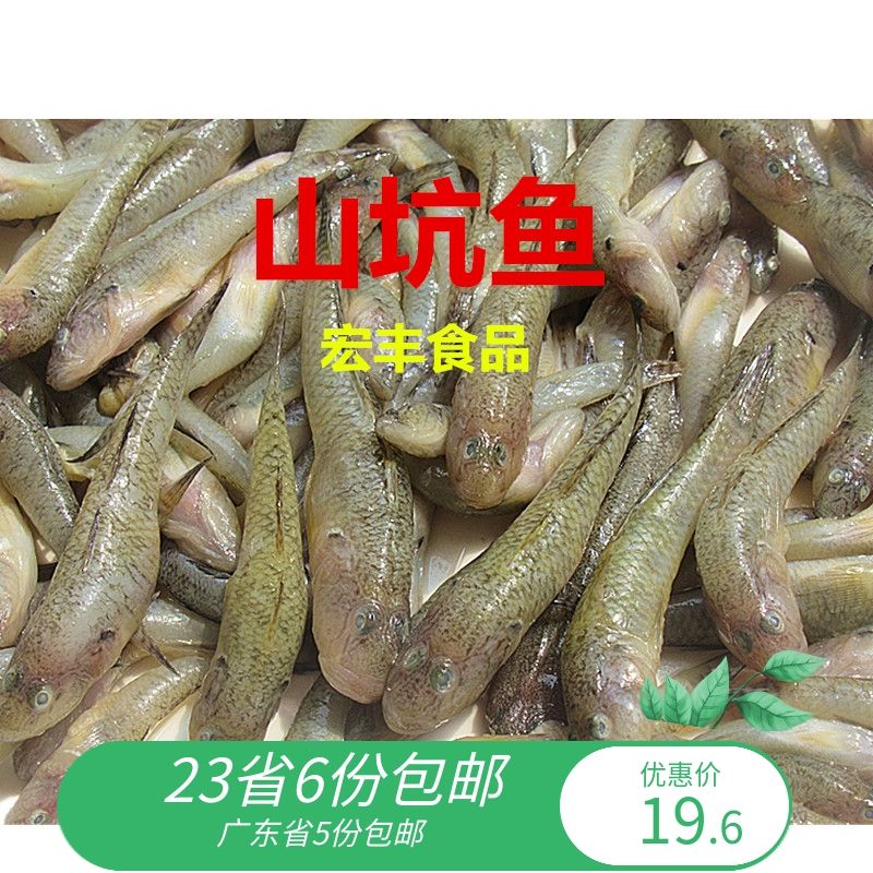 小龍魚喜歡吃什么：小龍魚在不同生長階段有不同的飲食偏好和注意事項(xiàng)