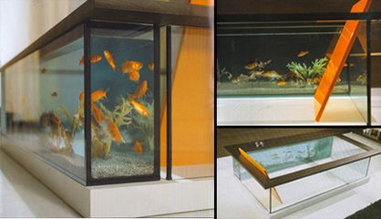 帶我去魚缸咖啡：南京魚缸咖啡館 魚缸百科 第2張