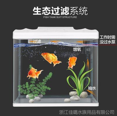 大魚缸怎么抽水出來的：大魚缸抽水可以通過多種方式進(jìn)行 魚缸百科 第1張