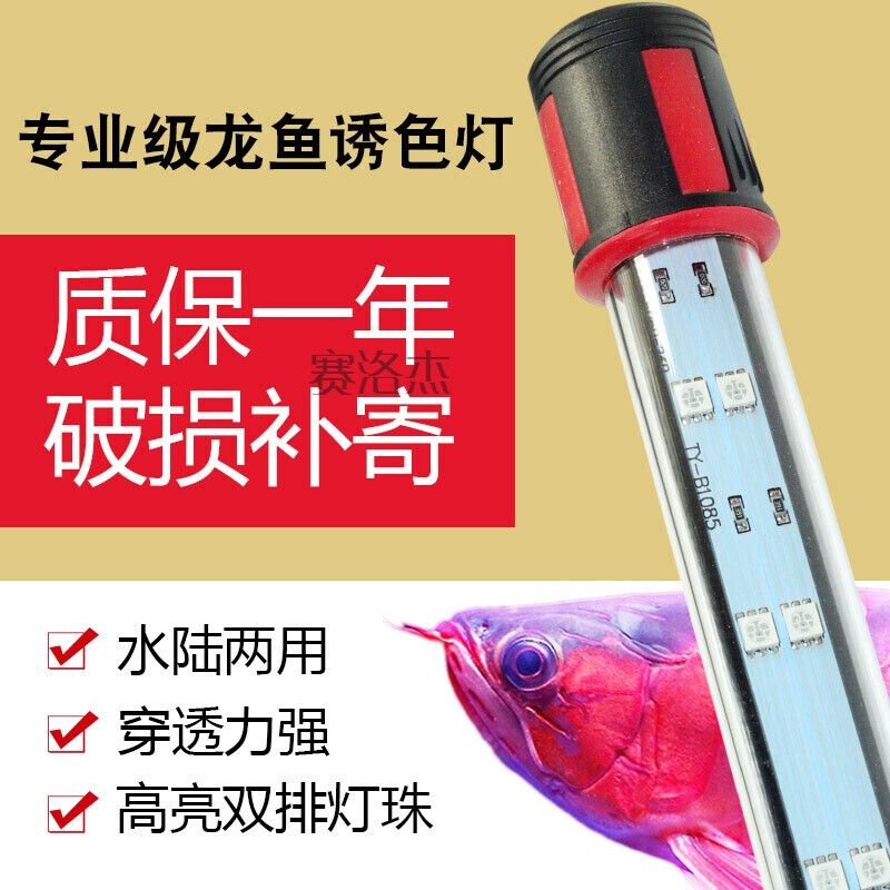 龍魚增色燈：探討龍魚增色燈之前需要了解龍魚的發(fā)色機(jī)制和影響因素