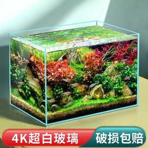 家用觀賞魚缸廠家批發(fā)價格多少：家用觀賞魚缸價格 魚缸風水 第1張