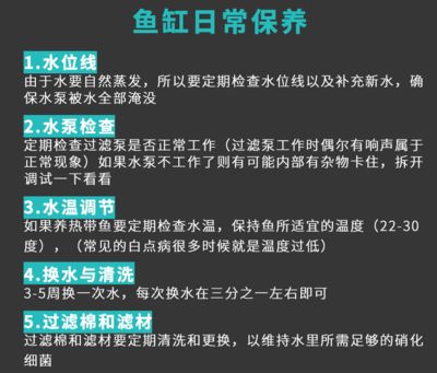 博宇與森森魚缸哪個好：博宇和森森兩個品牌魚缸的比較分析 魚缸百科 第4張