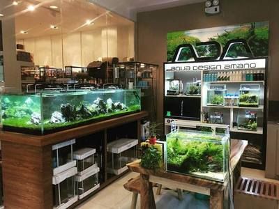 崇州哪里有賣魚缸的店：崇州市內(nèi)幾個與魚缸相關(guān)的商家和地點 魚缸百科 第2張