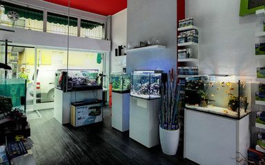 崇州哪里有賣魚缸的店：崇州市內(nèi)幾個與魚缸相關(guān)的商家和地點 魚缸百科 第3張